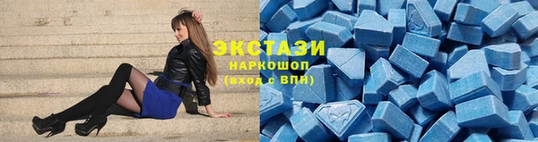 spice Богородск