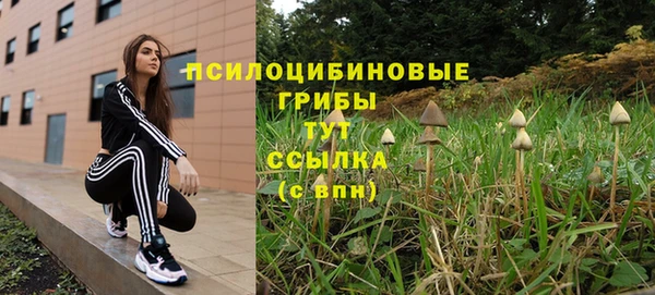 первитин Богданович