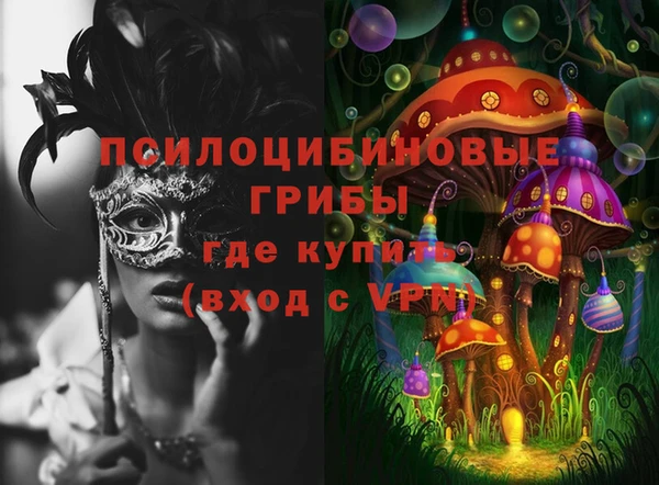 первитин Богданович