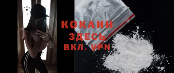 spice Богородск