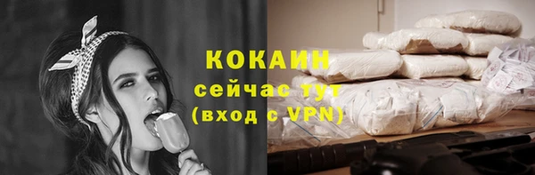 первитин Богданович