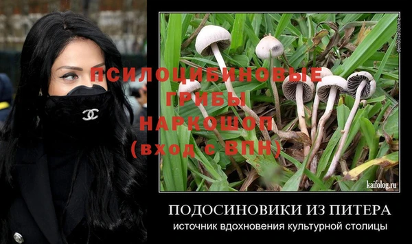 спайс Богородицк
