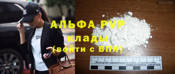 первитин Богданович