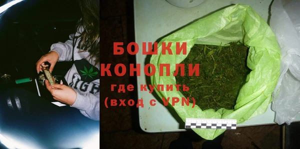 первитин Богданович
