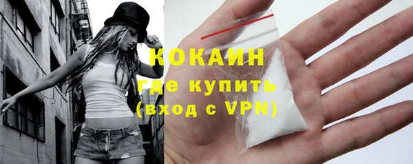 spice Богородск